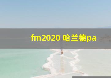 fm2020 哈兰德pa